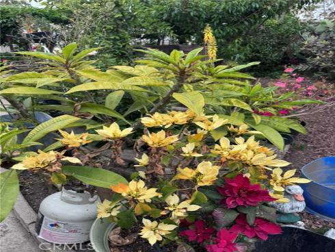 7881 Franklin Street, Buena Park, CA