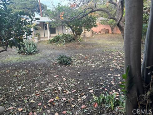 7912 11th , Buena Park, CA