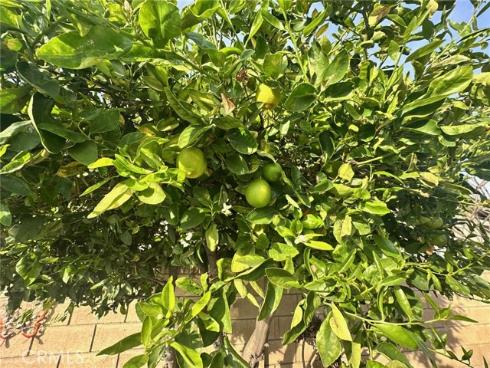 6849 Whitman Drive, Buena Park, CA