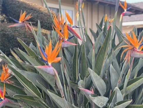 6849 Whitman Drive, Buena Park, CA