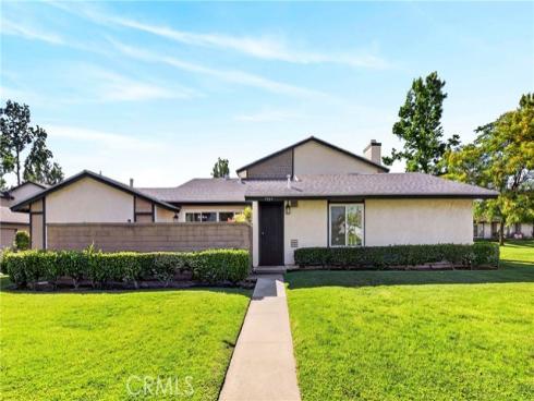 5509 Muir