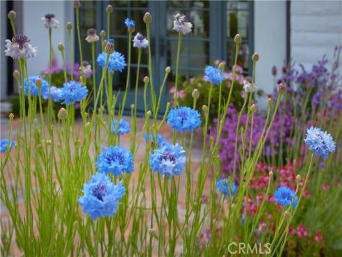 235 Poppy Avenue, Corona del Mar, CA