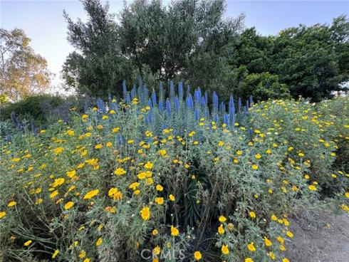 2191  Canyon  C103 , Costa Mesa, CA