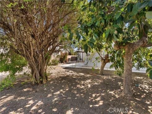 13651  Olympic  , Costa Mesa, CA