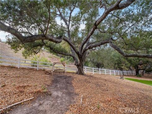 2 Fresian , Coto de Caza, CA