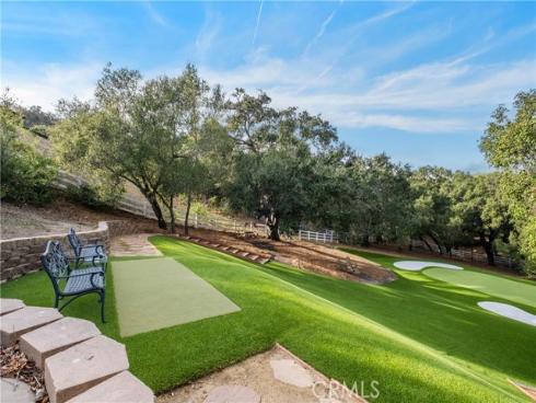 2 Fresian , Coto de Caza, CA