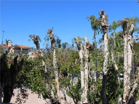 5 Avenida Daroca , Coto de Caza, CA