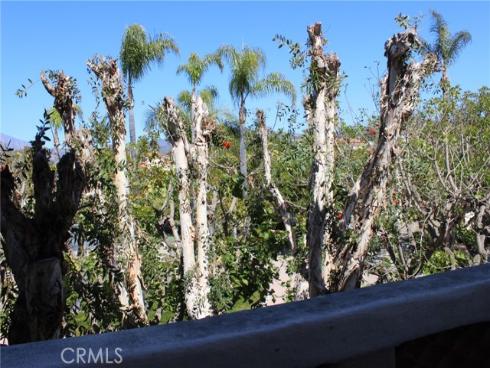 5 Avenida Daroca , Coto de Caza, CA