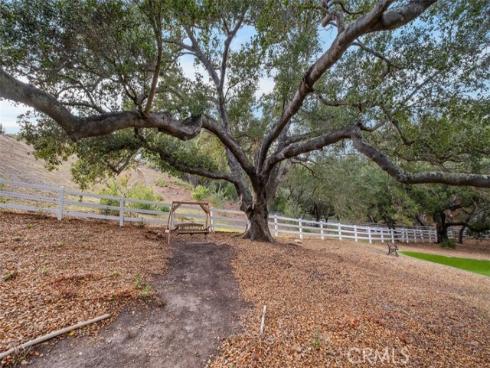 2 Fresian , Coto de Caza, CA