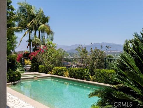 4  Arabian  , Coto de Caza, CA