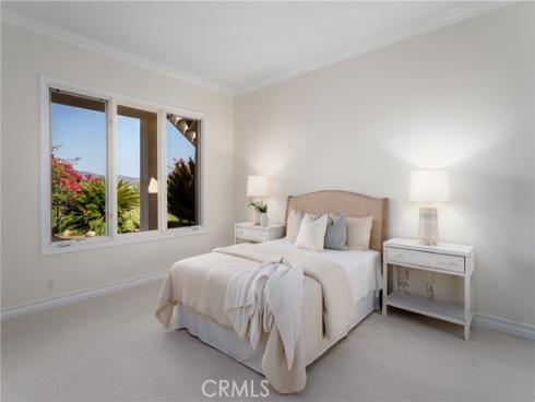 4  Arabian  , Coto de Caza, CA