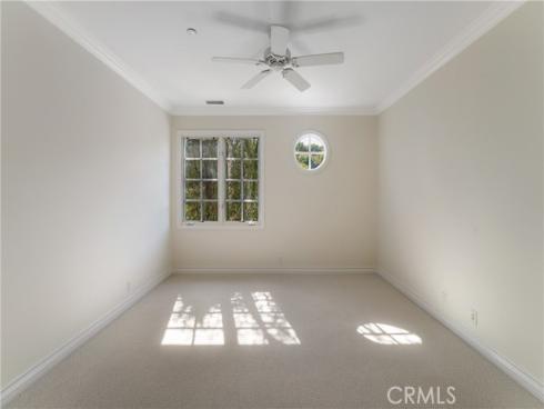 4  Arabian  , Coto de Caza, CA