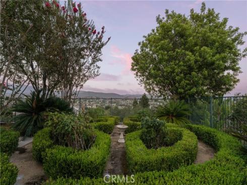 4  Arabian  , Coto de Caza, CA