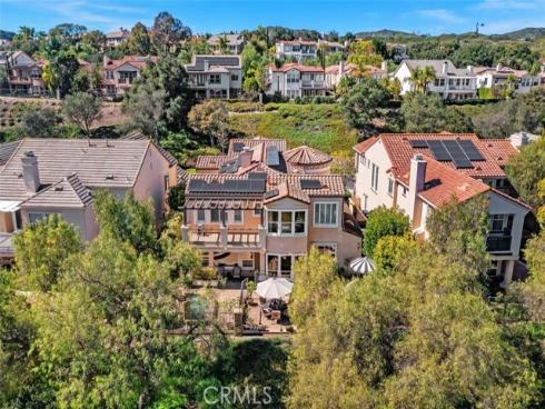 24  Water Lily  , Coto de Caza, CA