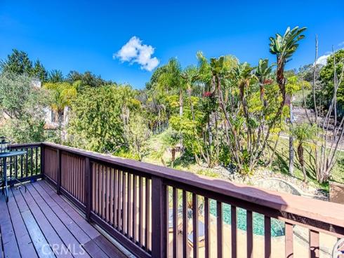 11  Lusitano  , Coto de Caza, CA