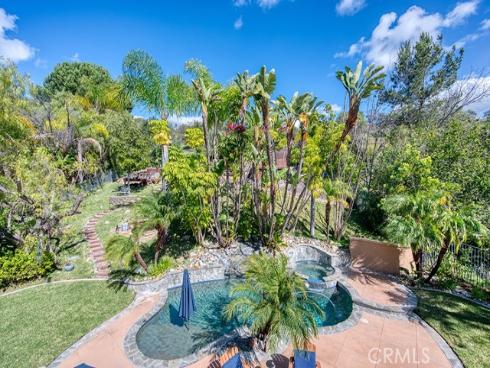 11  Lusitano  , Coto de Caza, CA