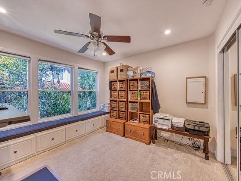 11  Lusitano  , Coto de Caza, CA