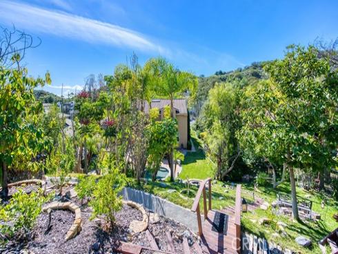 11  Lusitano  , Coto de Caza, CA