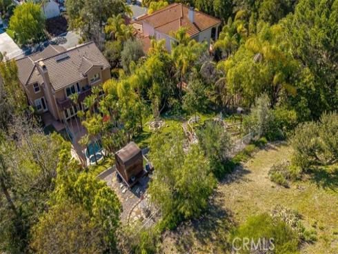 11  Lusitano  , Coto de Caza, CA