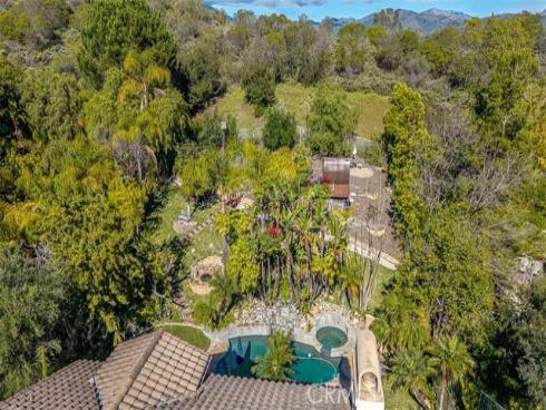 11  Lusitano  , Coto de Caza, CA