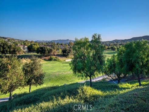 21  Portmarnoch   Court, Coto de Caza, CA