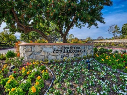 4  Golden Poppy  , Coto de Caza, CA