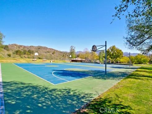4  Golden Poppy  , Coto de Caza, CA