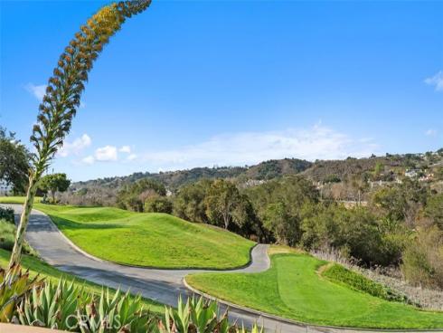 24  Hawthorne Lane  , Coto de Caza, CA