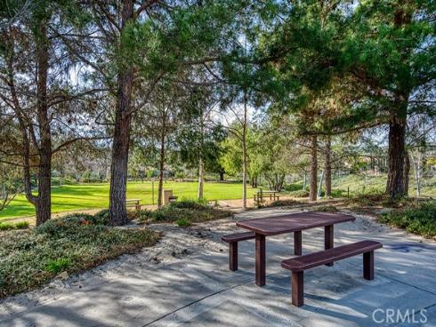 6  Coffeeberry   Court, Coto de Caza, CA