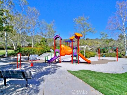 6  Coffeeberry   Court, Coto de Caza, CA