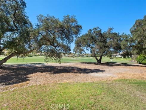 5  Ironwood  , Coto de Caza, CA