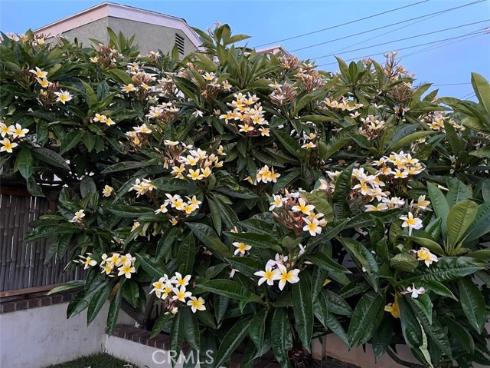 34601 Calle Portola , Dana Point, CA