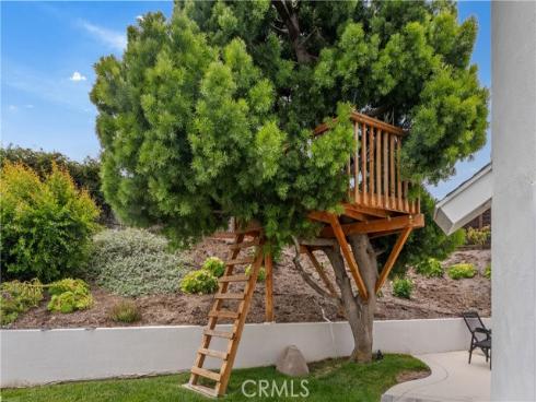 25282 Sea Rose Court, Dana Point, CA