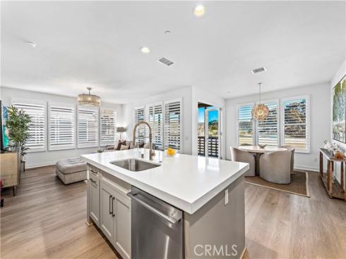 1309  Doheny   Way, Dana Point, CA