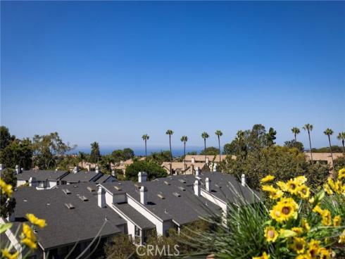 46  Terra Vista  , Dana Point, CA