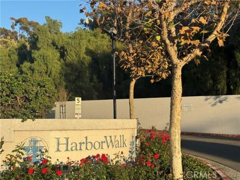 34264 Camino Capistrano 309