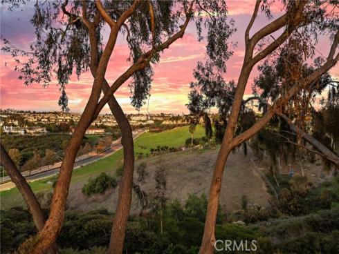 24 Imperatrice , Dana Point, CA