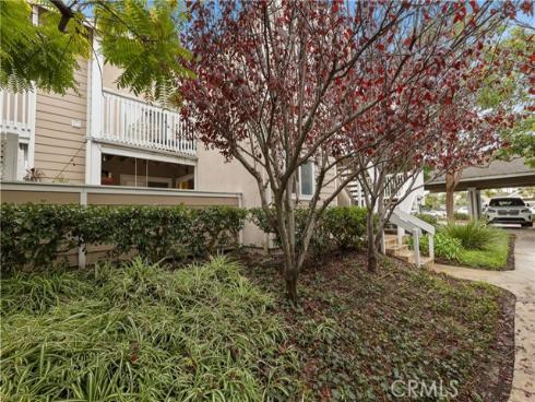 34032 Selva 96 Road, Dana Point, CA