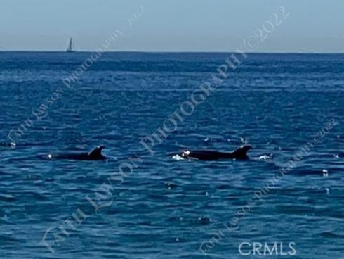 34134  Selva Road  248 , Dana Point, CA