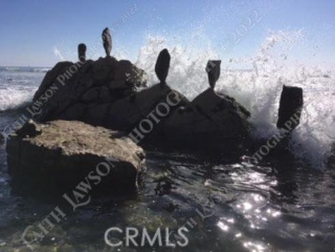 34134  Selva Road  248 , Dana Point, CA