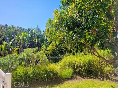 34146 Selva Road 198