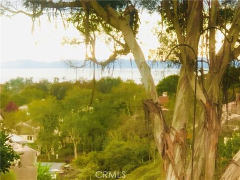 25091 Danapepper , Dana Point, CA