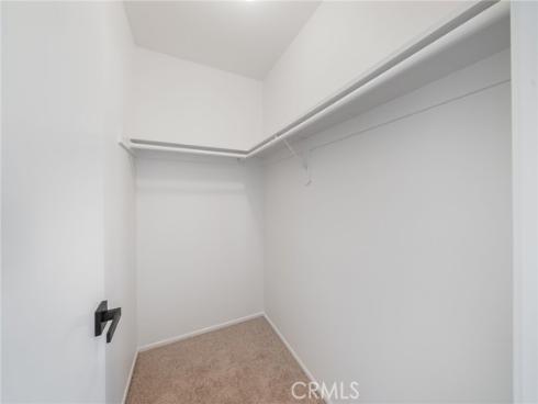 34115  Violet Lantern  1 , Dana Point, CA
