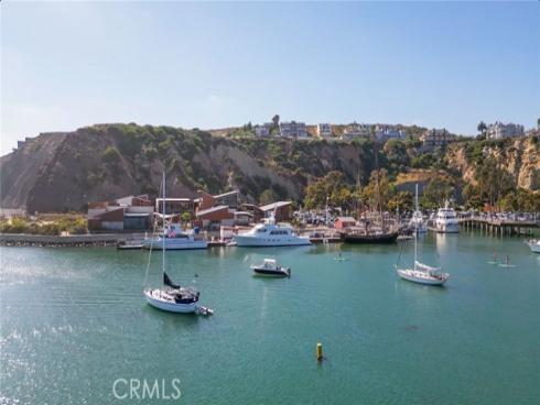 34115  Violet Lantern  1 , Dana Point, CA
