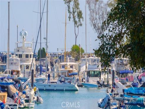 34115  Violet Lantern  1 , Dana Point, CA