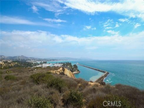 34115  Violet Lantern  1 , Dana Point, CA