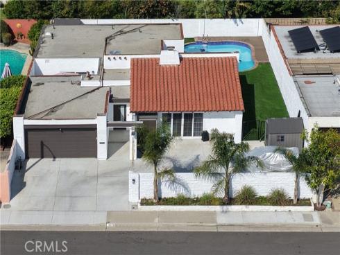 16767 Silktree