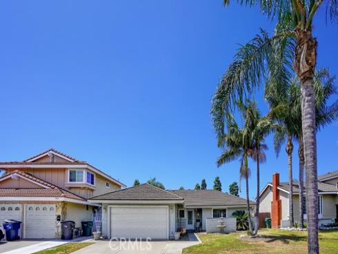 17283 Buttonwood