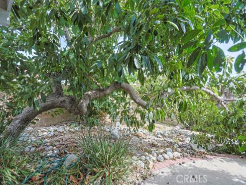 16404 Ponderosa St. , Fountain Valley, CA