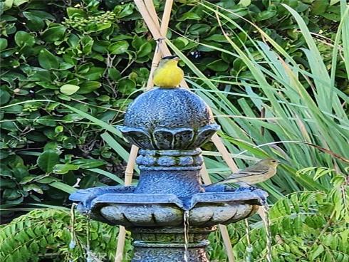 1534  Sunny Crest Drive  , Fullerton, CA